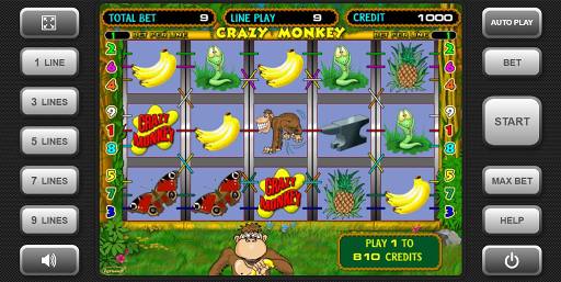 Дизайн игрового автомата Crazy Monkey